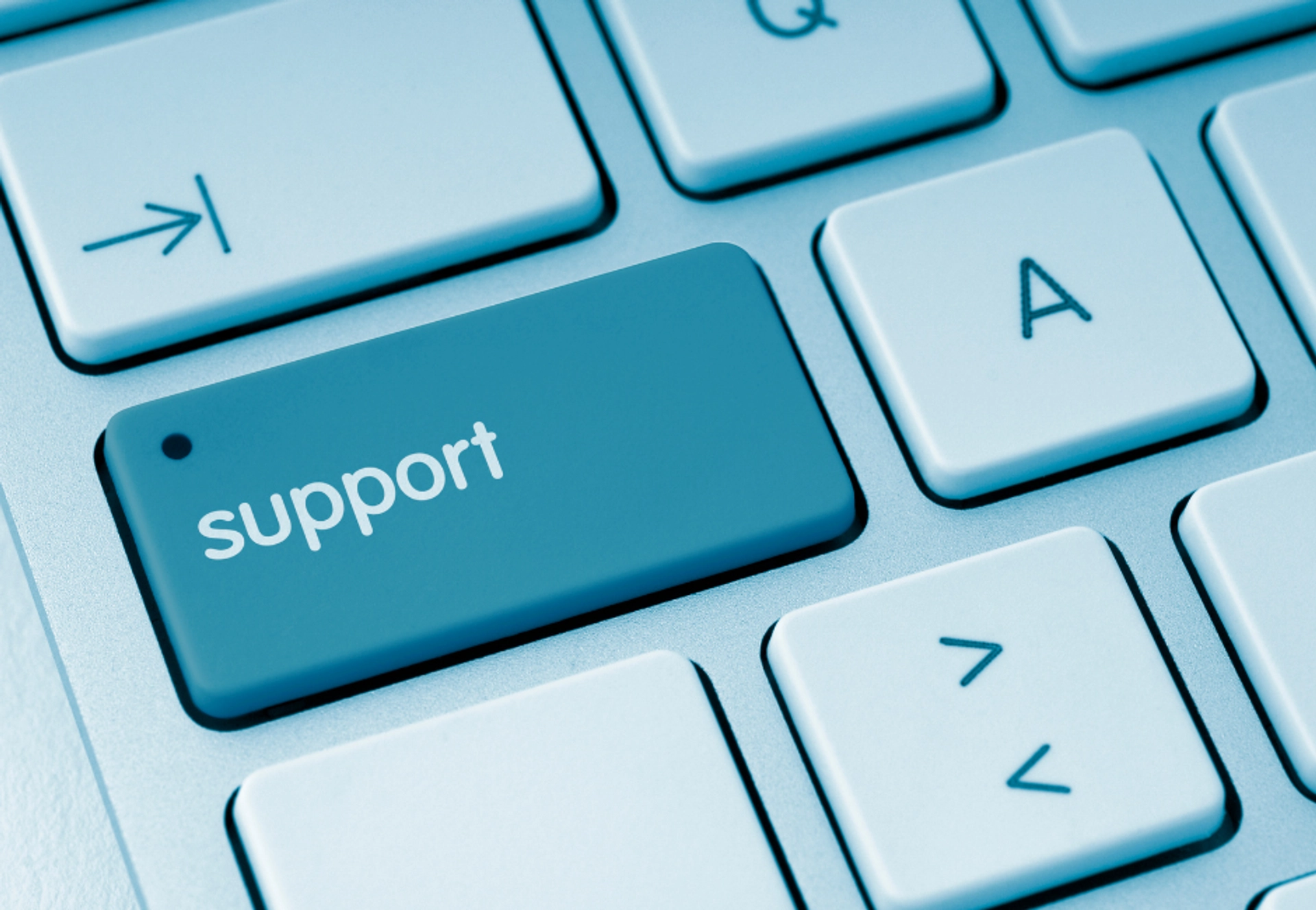 Grant-funded digital support programme